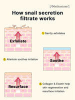 Cosrx Advanced Snail 92 All In One Cream Infographic