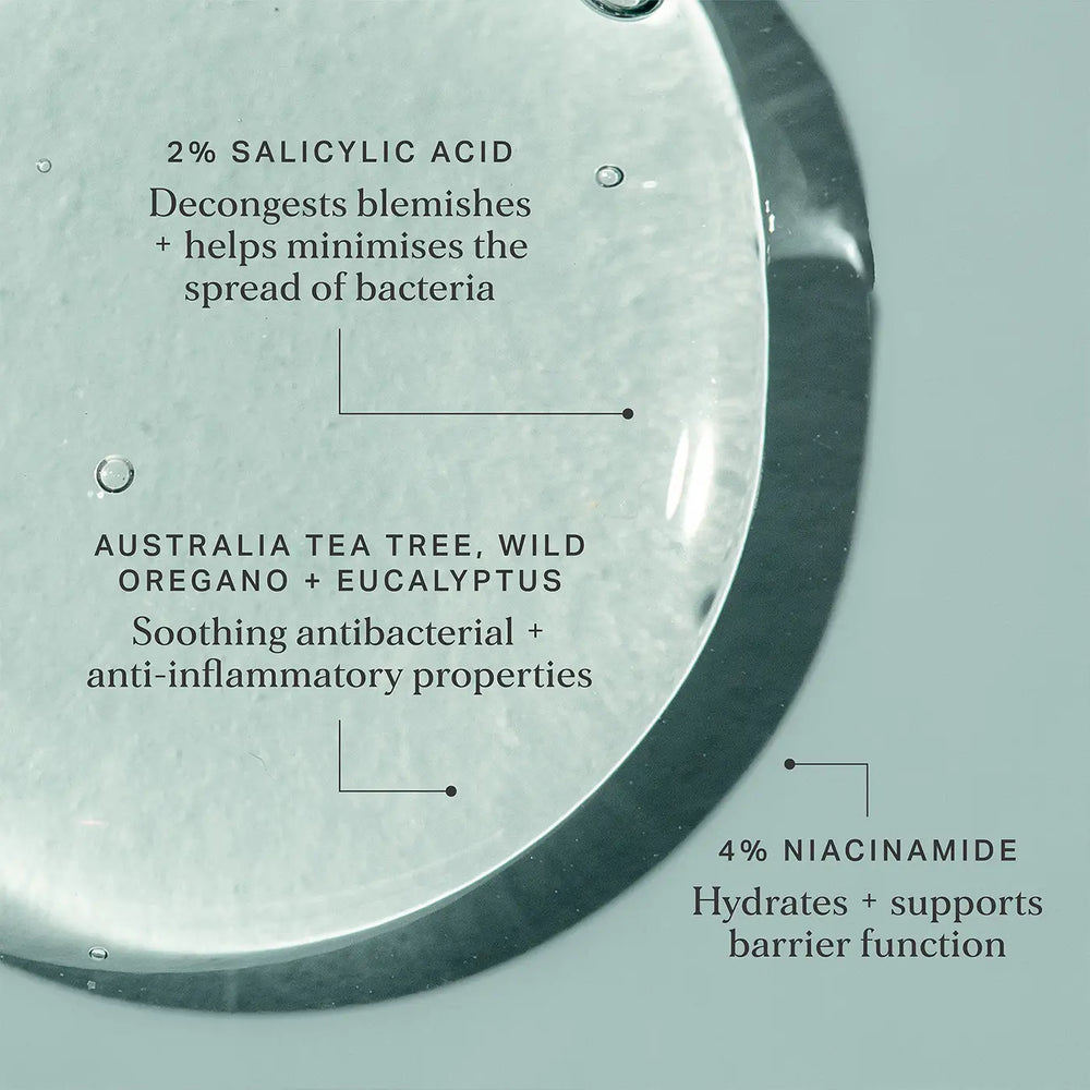 Alpha H Instant Action Bha Blemish Treatment Ingredienten