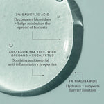 Alpha H Instant Action Bha Blemish Treatment Ingredienten