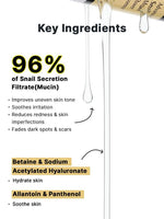 Cosrx Advanced Snail 96 Mucin Power Essence Ingredienten