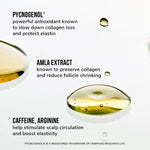 Color Wow Youth Juice Collagen Scalp Treatment Serum Haargroei Infographic Ingredienten Pycnogenol Amla Extract Caffeine