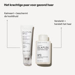 Olaplex N 05 Scalp Longevity Treatment Infographic