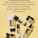 COSRX - Advanced Snail 92 All In One Cream [Tube] - Afbeelding 6