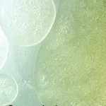 ANUA - Heartleaf Quercetinol Pore Deep Cleansing Foam - Afbeelding 3