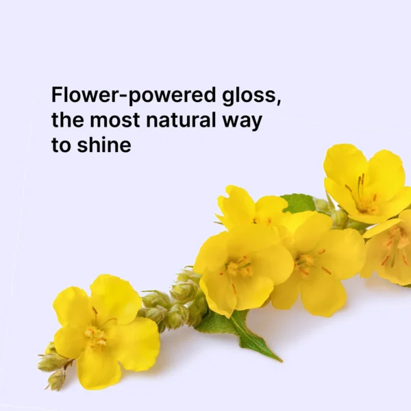 Color Wow - Extra Mist-ical Shine Spray - 162ML - Flowe Powered Gloss